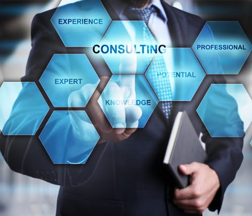 Consulting1